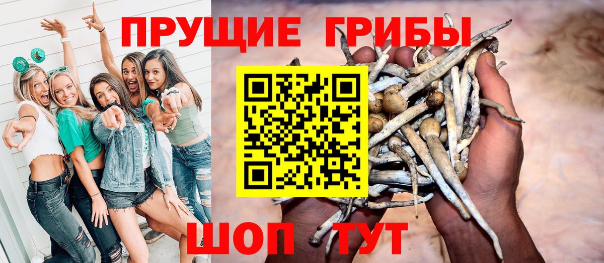 Галлюциногенные грибы прущие грибы Когалым
