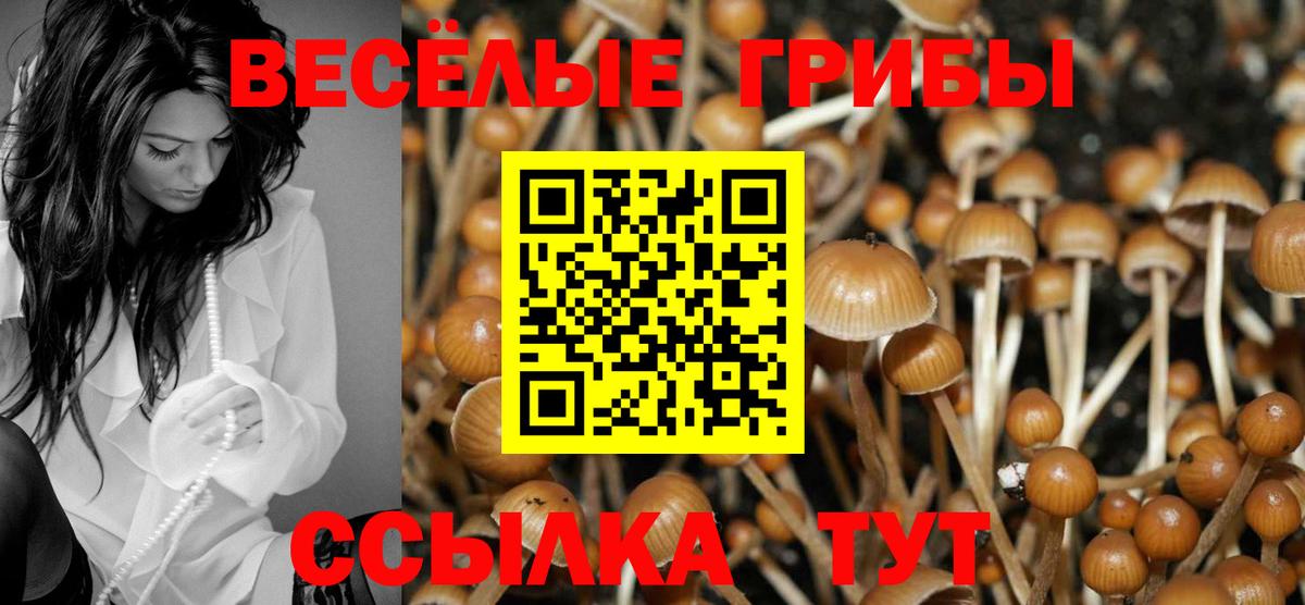 Псилоцибиновые грибы мухоморы  купить наркотики цена  Когалым  Вход с VPN 